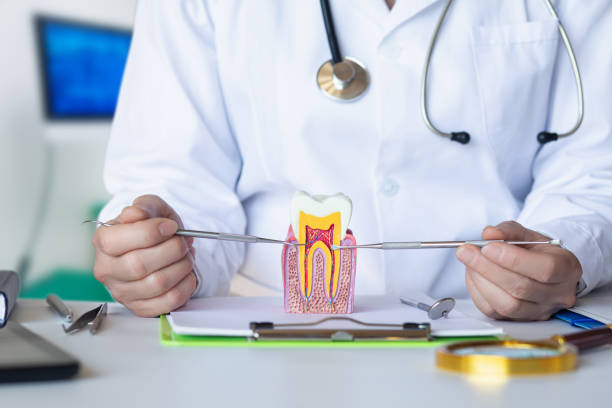 Best Emergency Root Canal Treatment in Anoka, MN